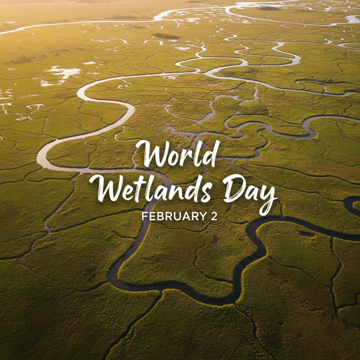 Free Download World Wetlands Day Climate Change - High Quality World Wetlands Day Background