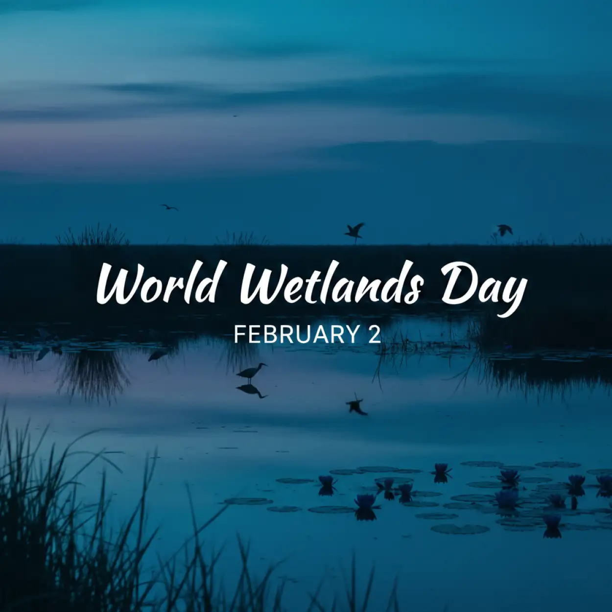 World Wetlands Day Essay - Royalty Free World Wetlands Day Image | Pngmagic Free Download World Wetlands Day Essay - High Quality World Wetlands Day Background