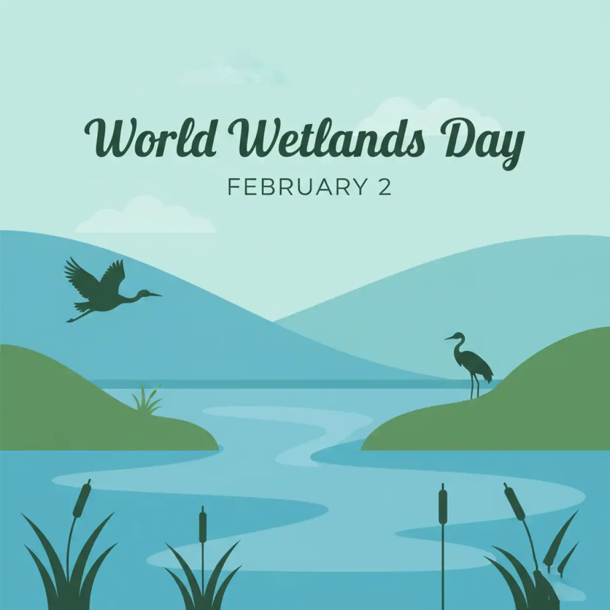 World Wetlands Day Infographic - Royalty Free World Wetlands Day Image | Pngmagic Free Download World Wetlands Day Infographic - High Quality World Wetlands Day Background