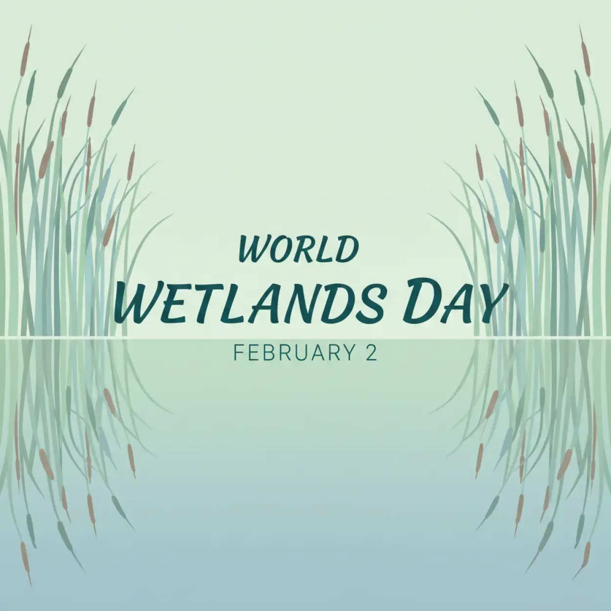 World Wetlands Day Instagram Post - Royalty Free World Wetlands Day Image | Pngmagic Free Download World Wetlands Day Instagram Post - High Quality World Wetlands Day Background